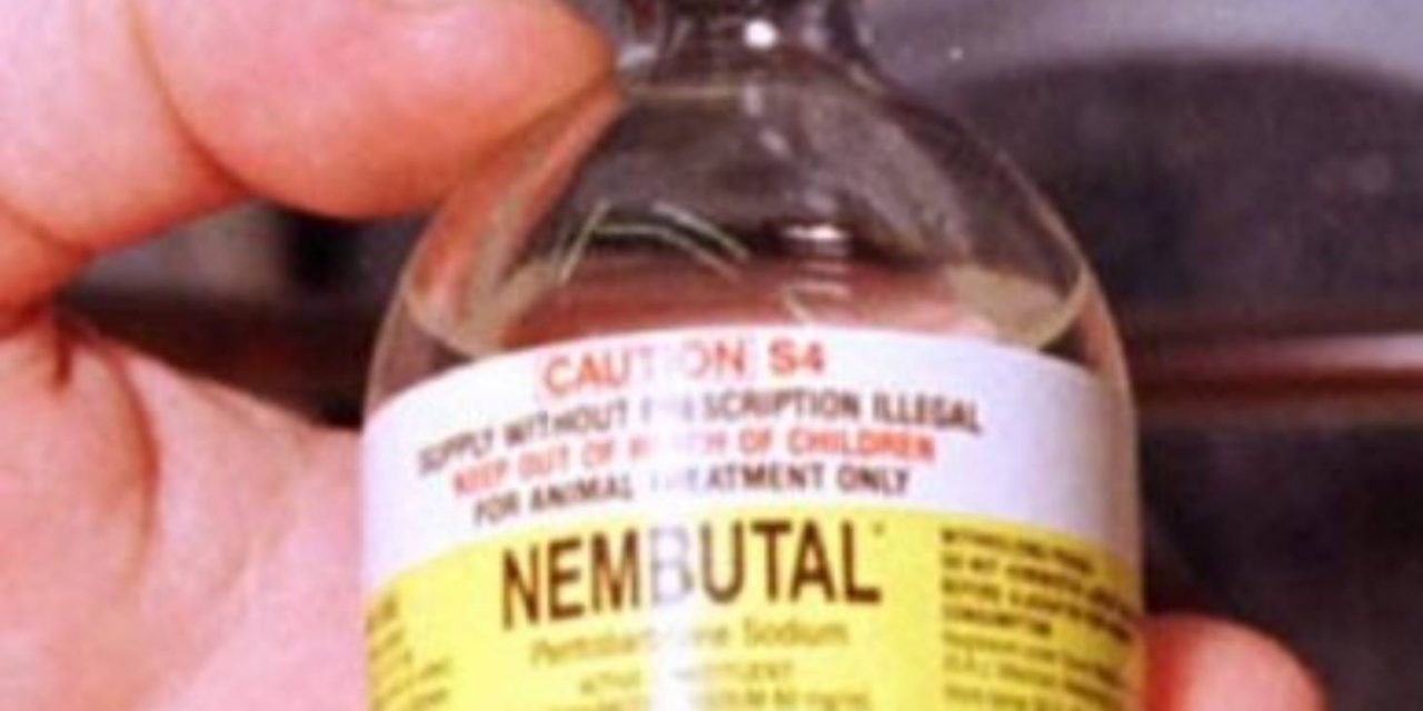 ¿Qué es Nembutal? Usos, Beneficios & Efectos secundarios